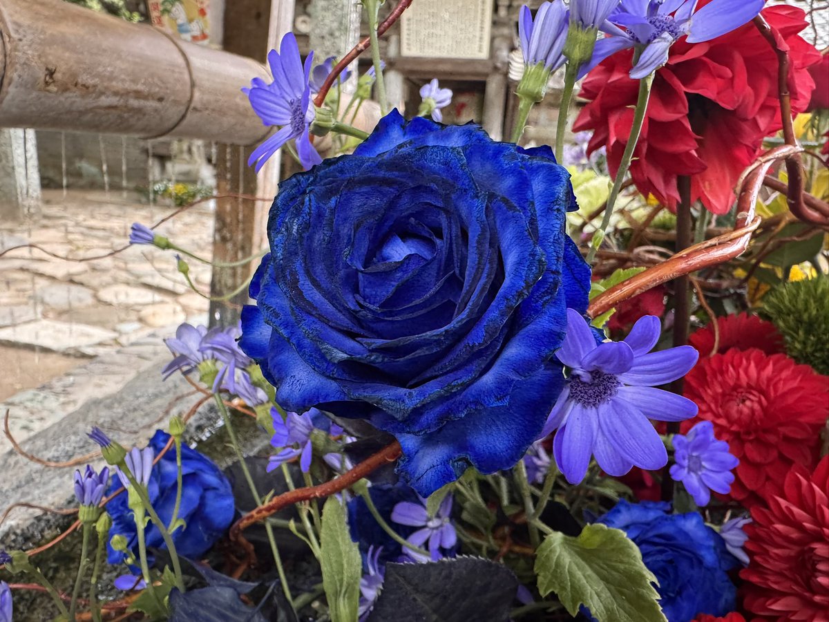 櫻井神社【公式】 tweet media