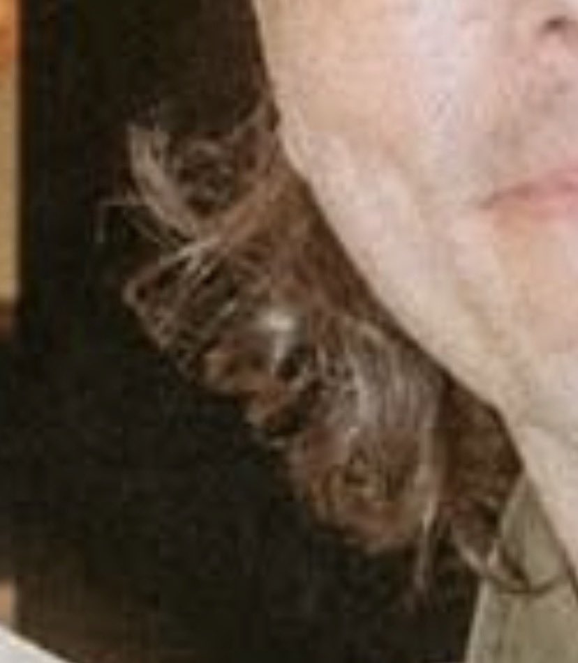 ‼️‼️‼️‼️‼️