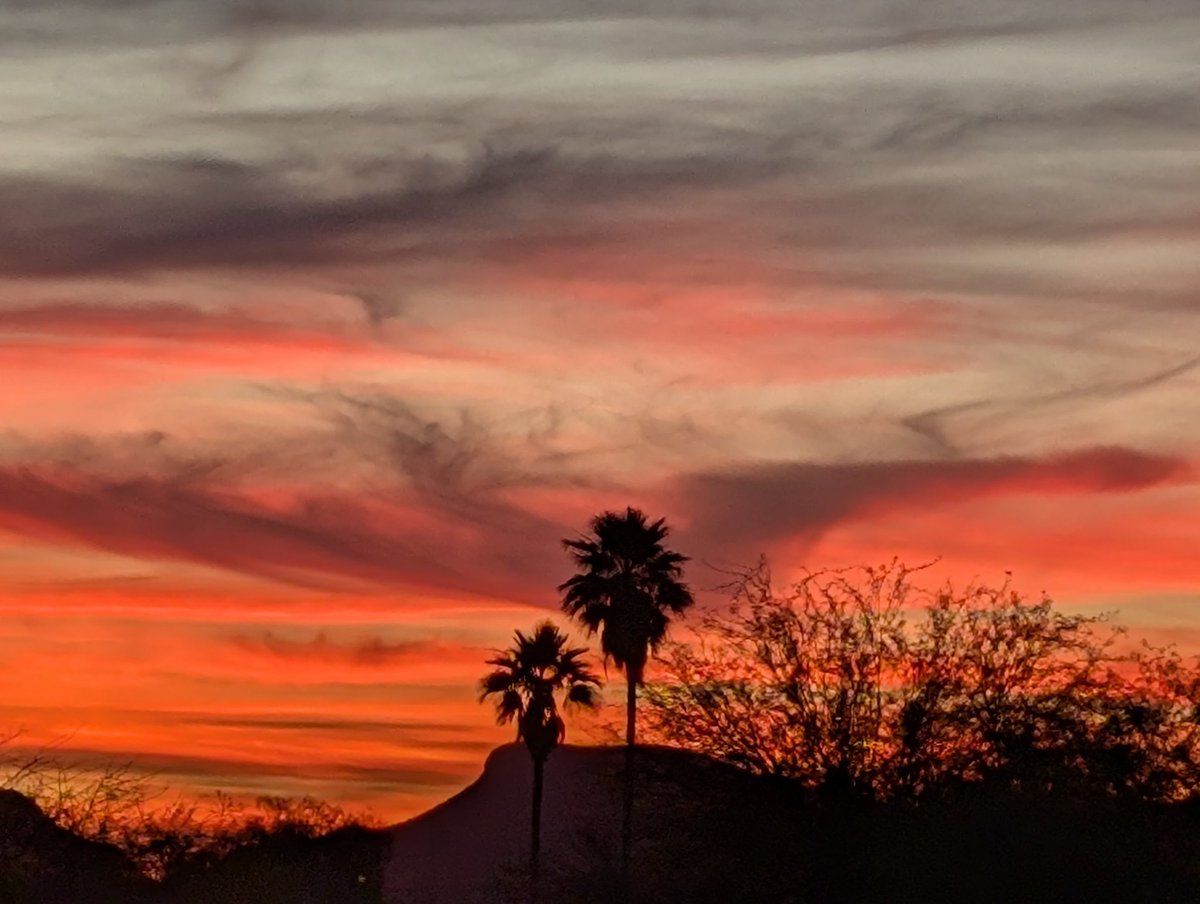 Rattlesnake Matty tweet media