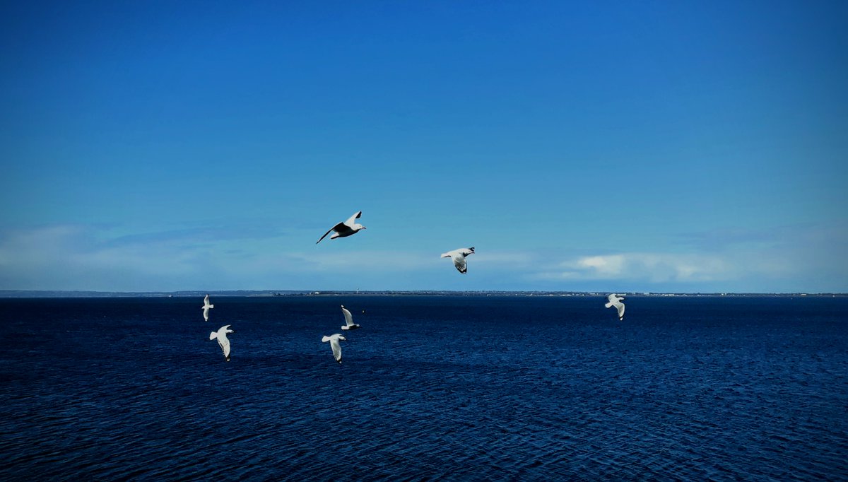 James_Hawke1's tweet image. Come back to reality.

• notions of outer space have been false
• your mind has been conditioned to believe in it
• I am working to bring you out of hypnosis
#matrix #mind #control #systems