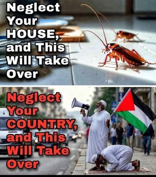 SaltyGoat tweet media