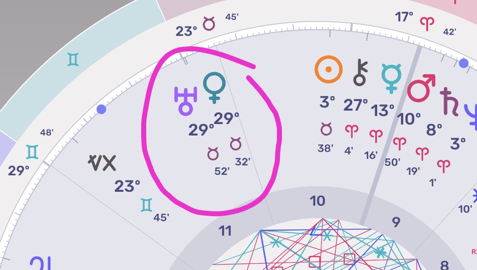 CRYPTO Damus tweet media