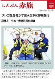 🇯🇵ヨホ牛🇯🇵【夫婦別姓大反対】 tweet media