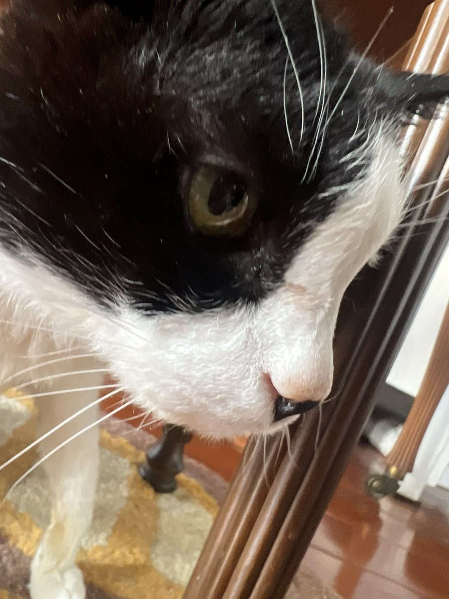 blair (abolishun type) tweet media