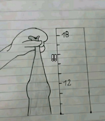 NaplesWilliams's tweet image. Oh yeah. 
SCOOP: Pedo #Trum's approval rating has dropped dramatically, hitting an all-time low of -24%, a level of unpopularity not seen since Watergate. The rapist is winning everywhere except his own home.
 Hei #MAGA Pull, pull hard.😂 😂😂