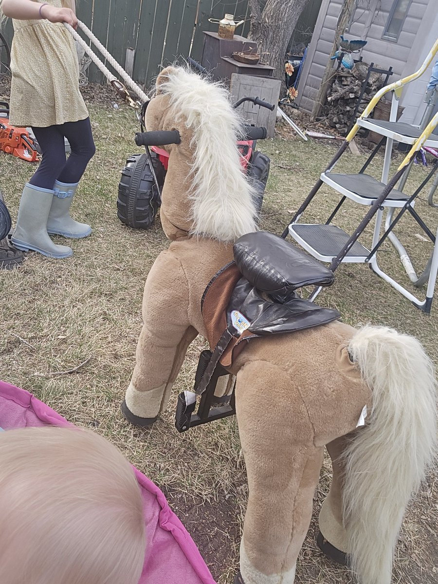 Brad_In_YYC's tweet image. I think I'm actually #winning as a parent today. One girl is off catching bugs around the yard. The other is playing with a toy horse. Both outside enjoying the warmth and both decided not to play on their tablets. The last one is 8 mths old and on me, sleeping. #DuhWinning
