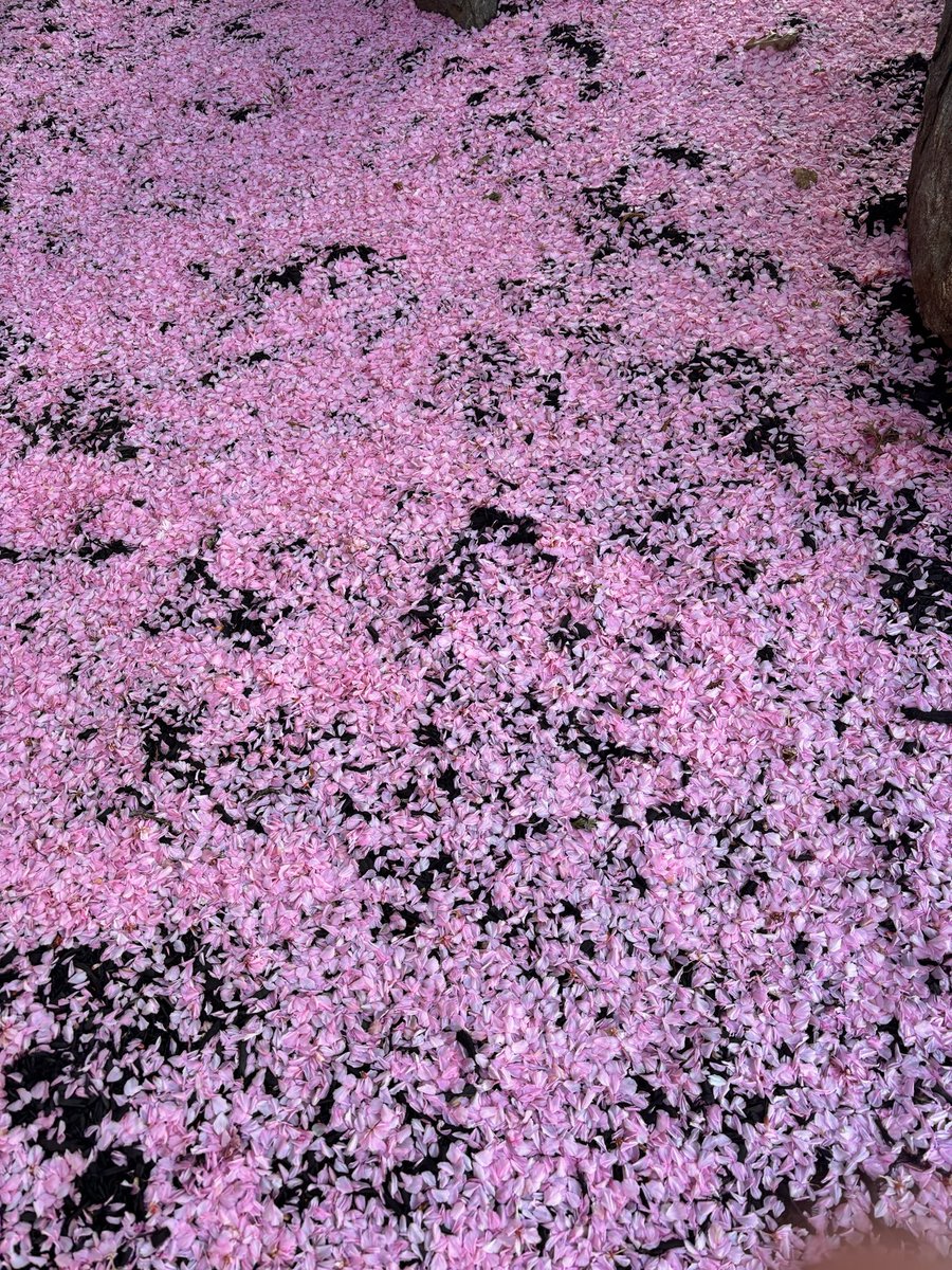 Mike Hogan tweet media