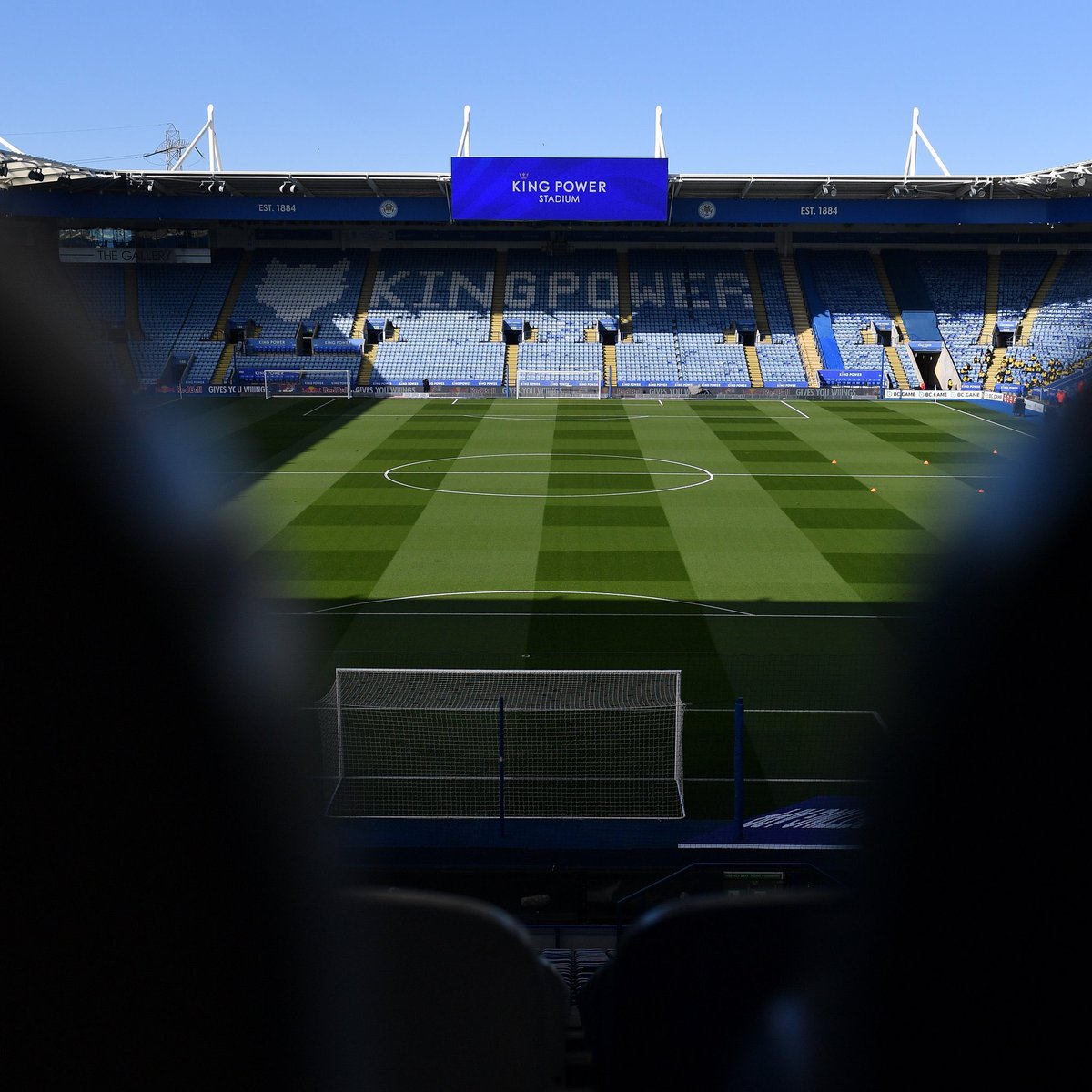 m a y o r 🌴 tweet media