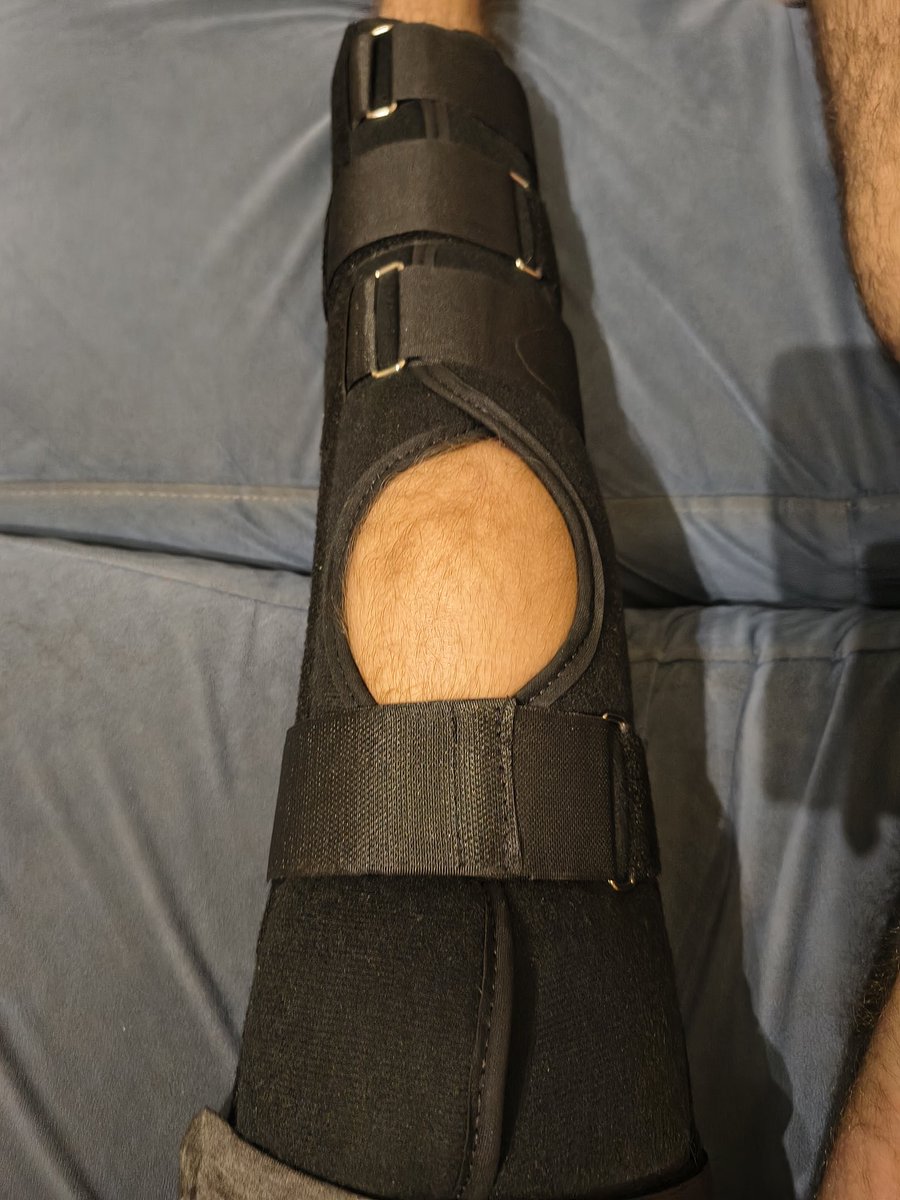 Matute 🐔 tweet media