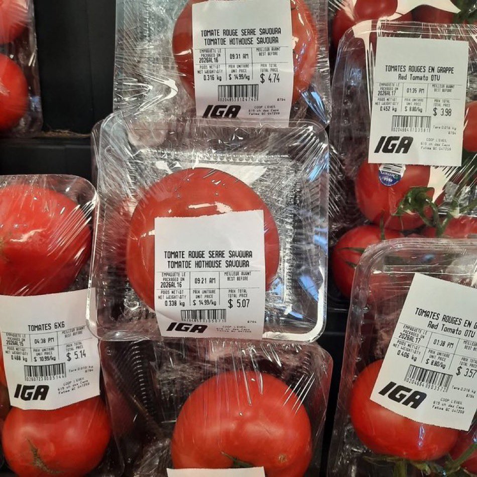 wealthmoose's tweet image. 🚨 $5 for a tomato 🍅 in Canada 🇨🇦 

We are living the dream !!  🤔 

Thank you @MarkJCarney …

Affordability has never been better !

#Canada #Inflation #Cdnpoli