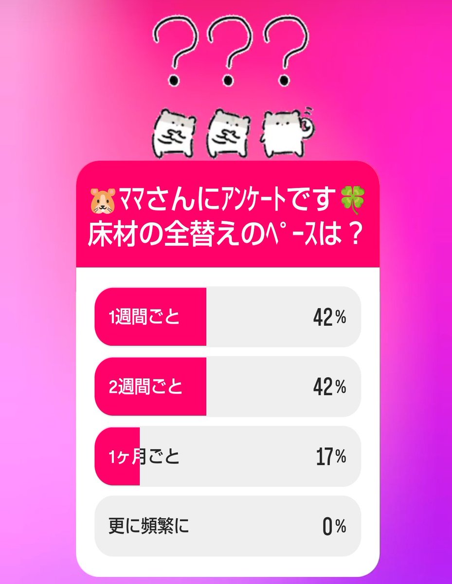 琴🐹🍀 tweet media