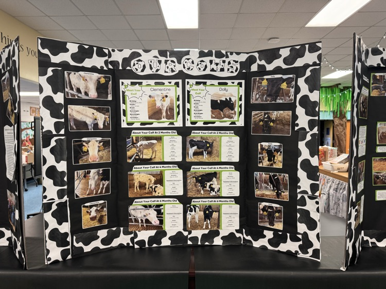 superGSD's tweet photo. Downriver STEM @ Weiss had their amazing annual Innovation night! We are so proud of our talented teachers and students! #InMarauderCountry https://t.co/07ztHn2YqK