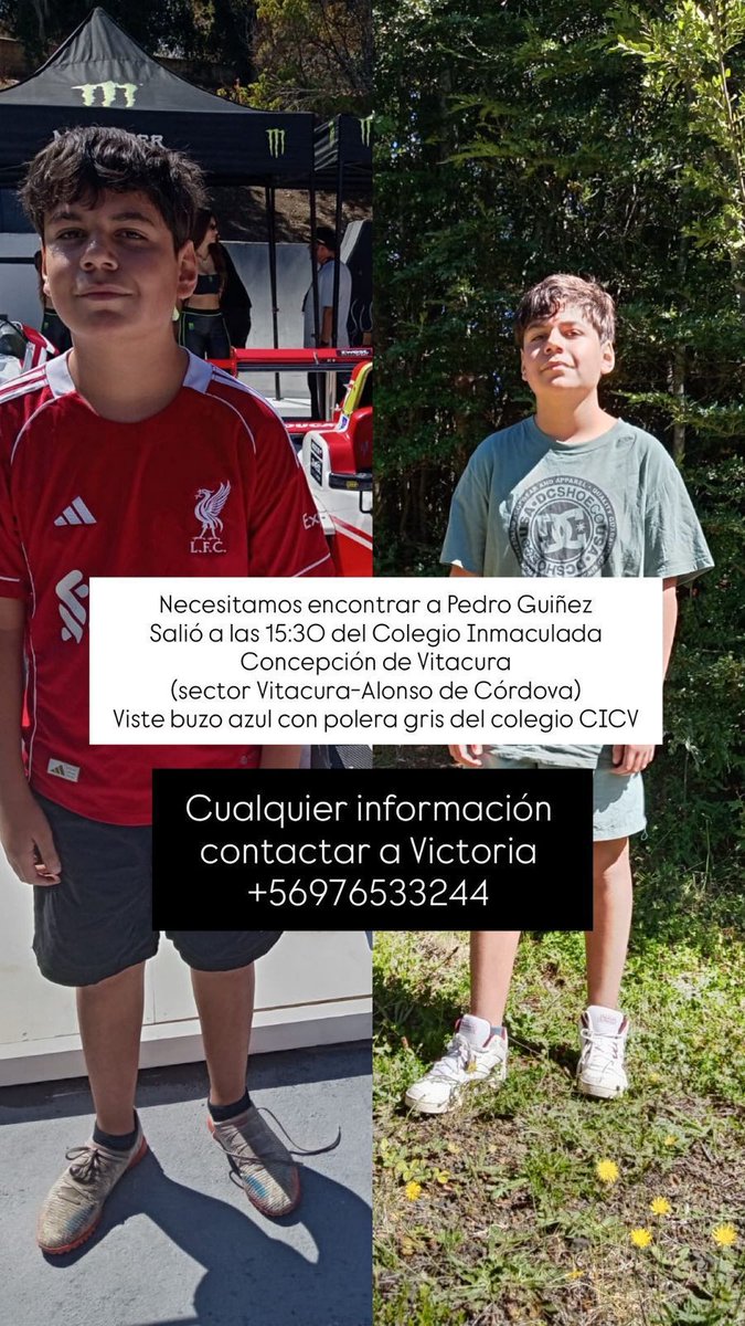Ayuda por favor, visto por última vez cruzando de Parque Arauco al Open Kennedy. Compartir