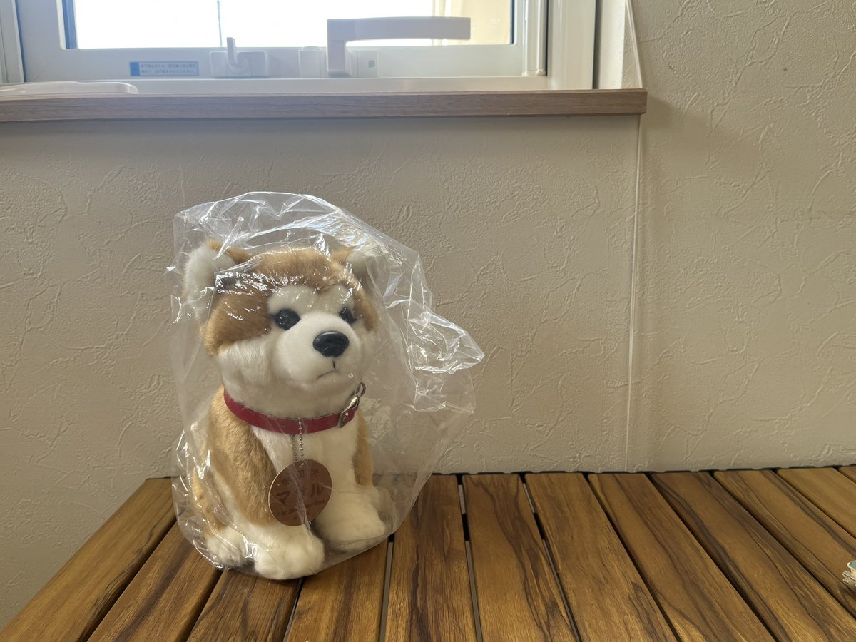 ゆったんとｹｲﾄ(さくちゃん) tweet media