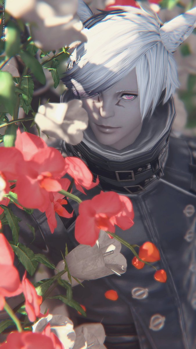 𝑻𝒉𝒆𝒐☽ tweet media