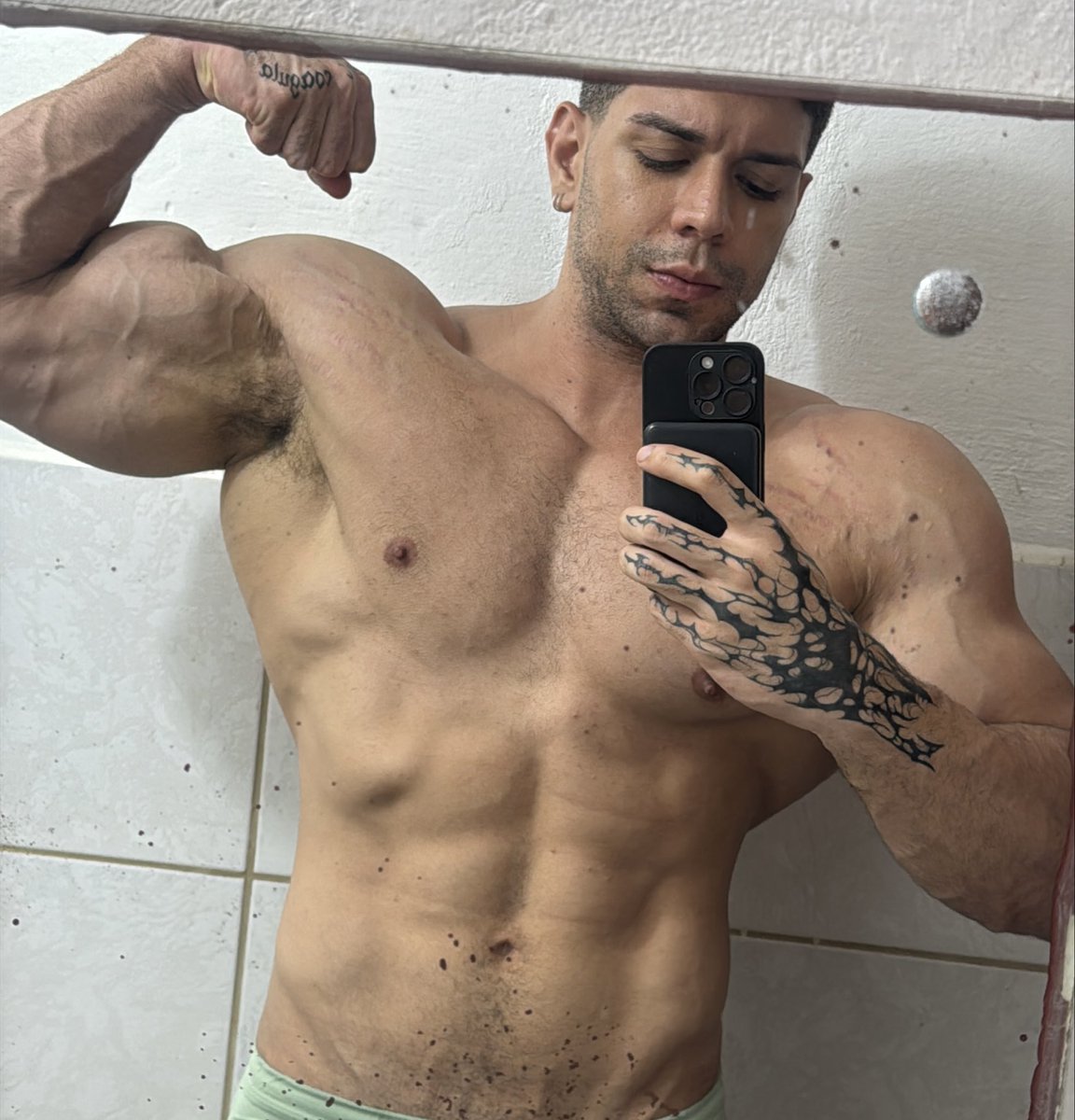 Master Bifrons 👑 tweet media