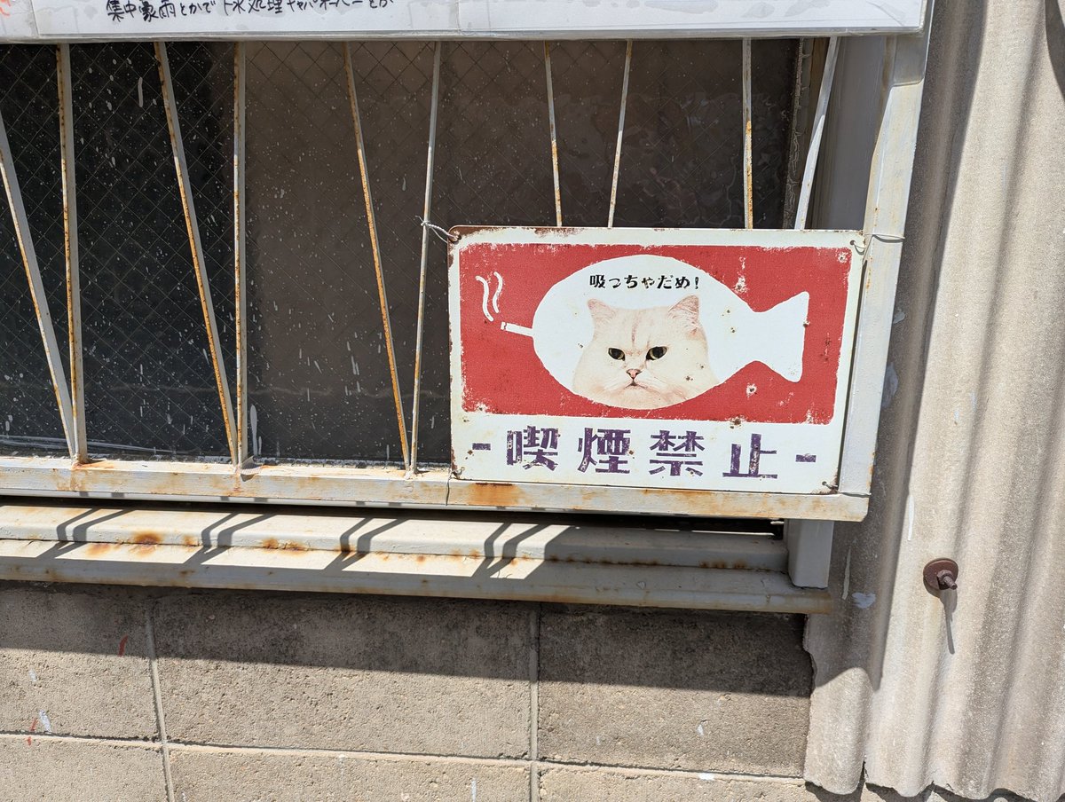 DukaDra(ヅカドラ) tweet media