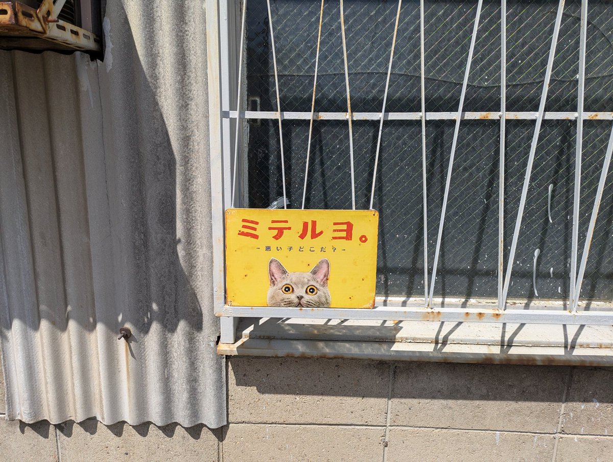 DukaDra(ヅカドラ) tweet media