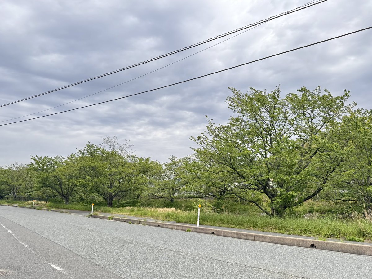 【公式】ORORU(オロル)株式会社 広報 tweet media