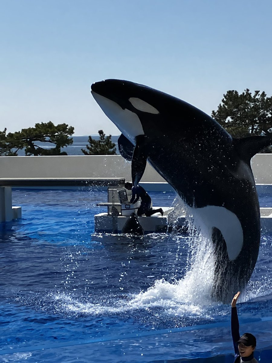 キャプテン・ラティハート垢 tweet media