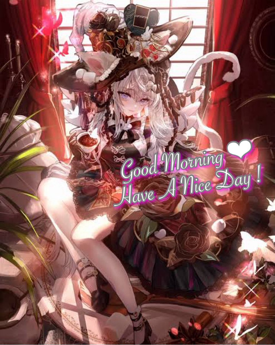 ジーナ チャンネル tweet media