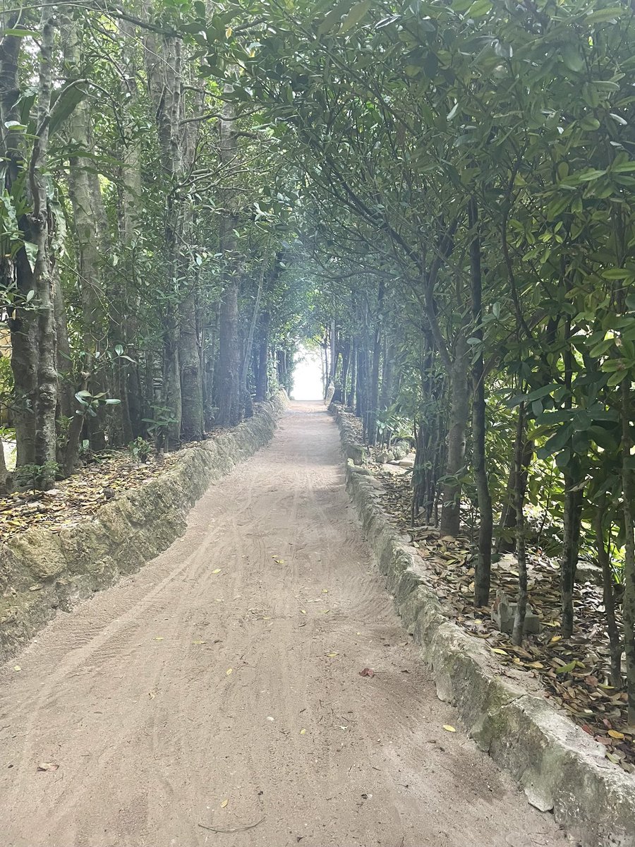 げにょ🐮【黒夜の会】 tweet media