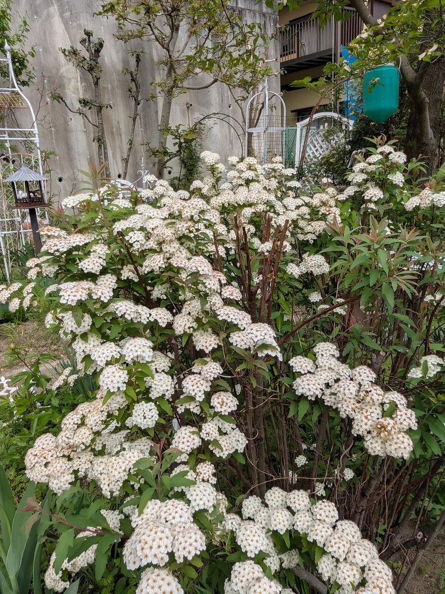 (へほ)heho.sommeröl tweet media