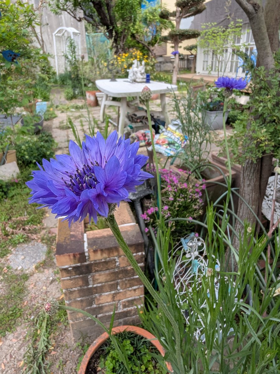 (へほ)heho.sommeröl tweet media