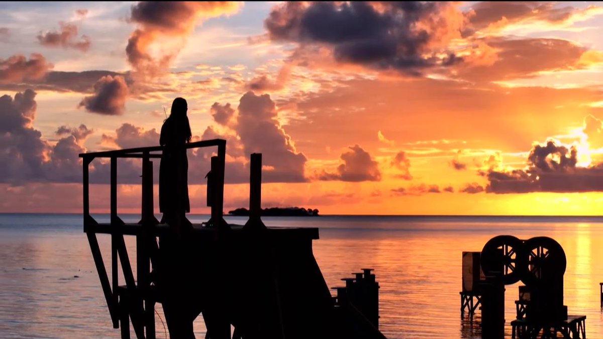 Supervivientes tweet media