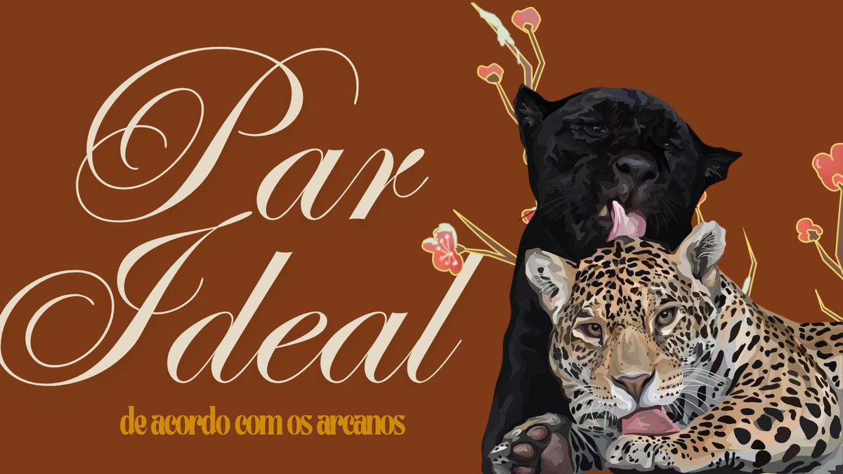 stormi ⚡️ tweet media