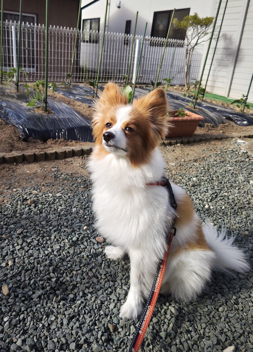 ぶっちゃん tweet media