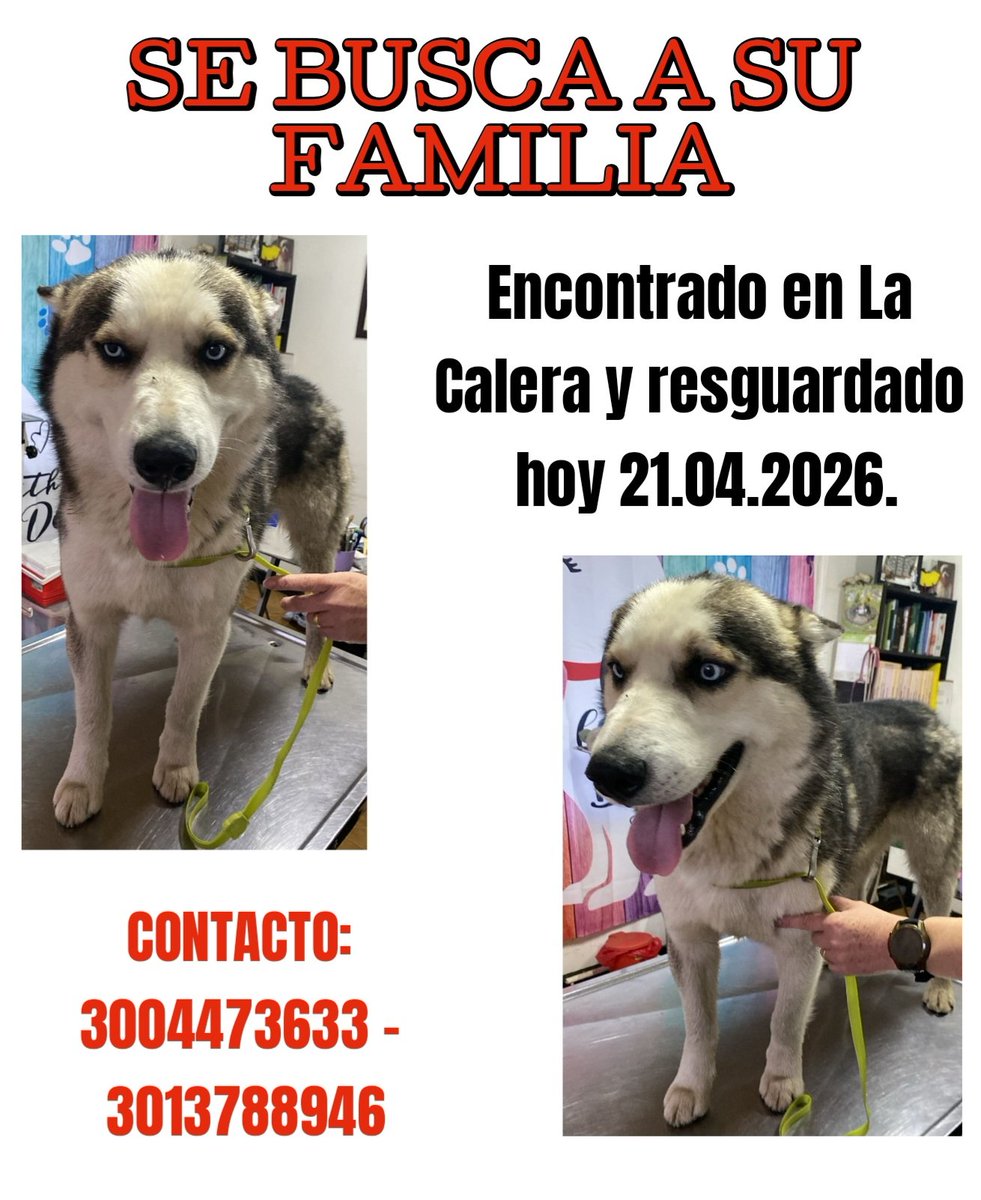 Marce Tabares 🐶 tweet media