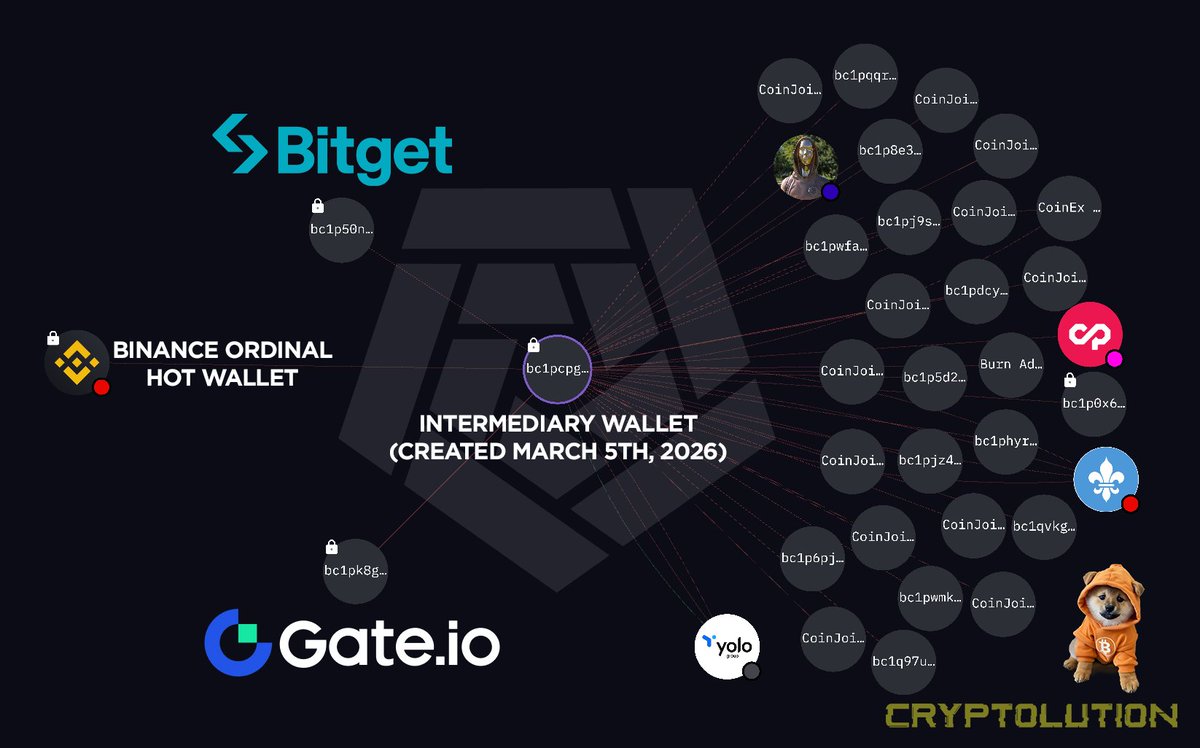 Vincent (Cryptolution) 👑 tweet media