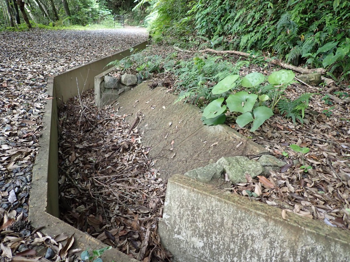 【公式】奄美大島世界遺産センター tweet media