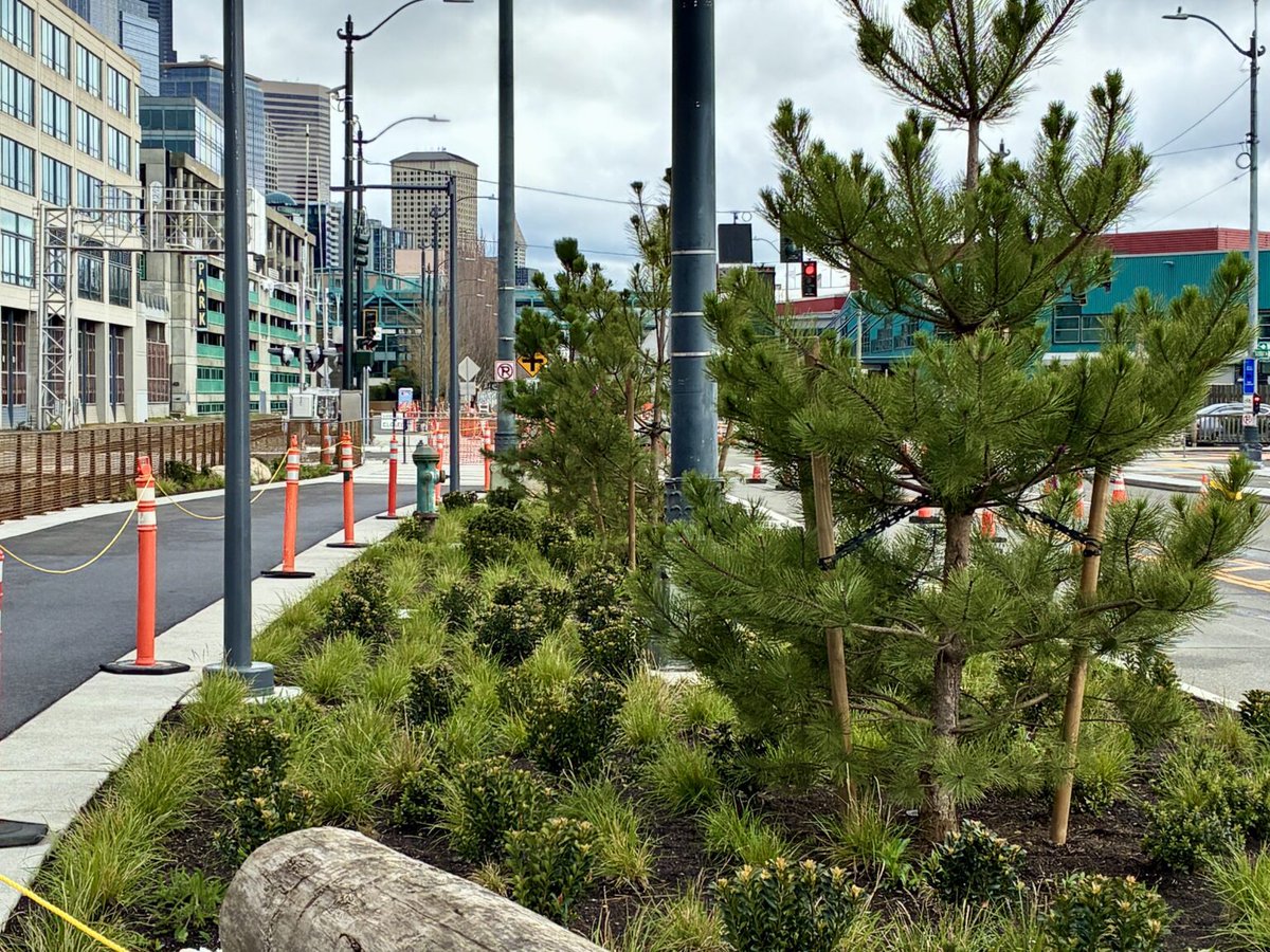 Seattle Parks tweet media