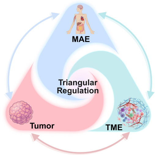 Cancer Cell tweet media
