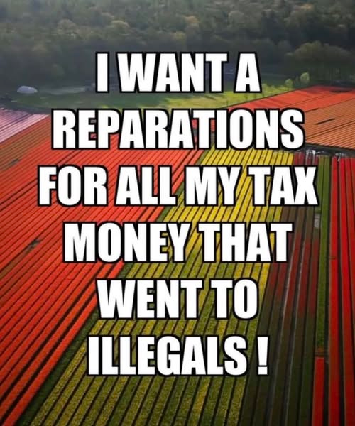 SaltyGoat tweet media