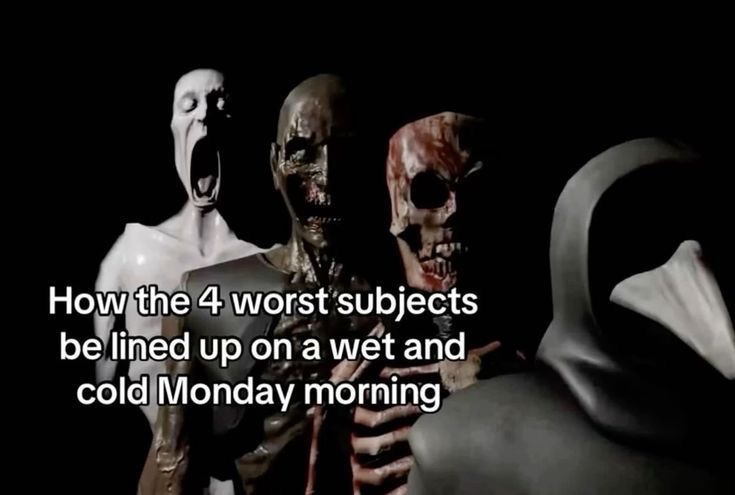 star 💫 tweet media