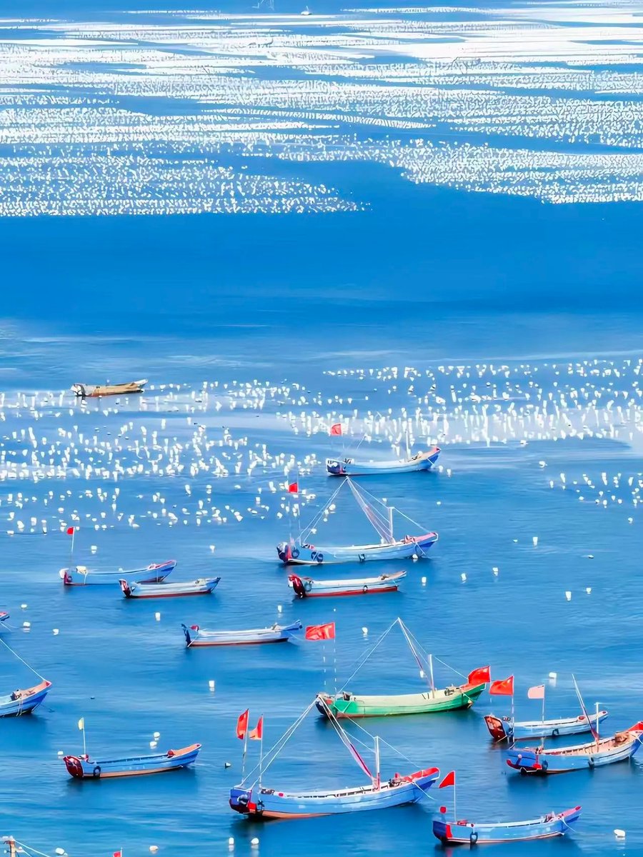 Beautiful China（FO） tweet media