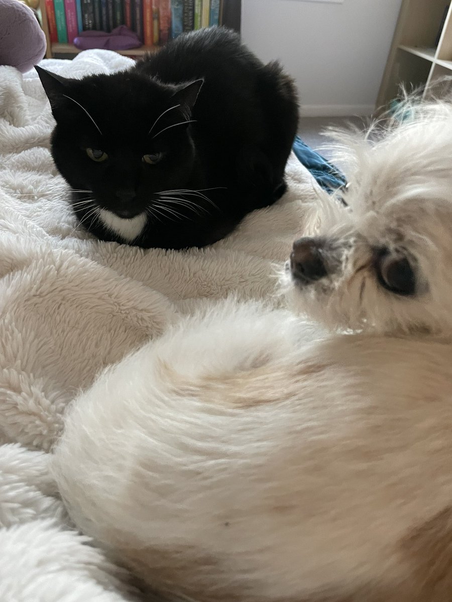 sorcha boots 🍉 tweet media