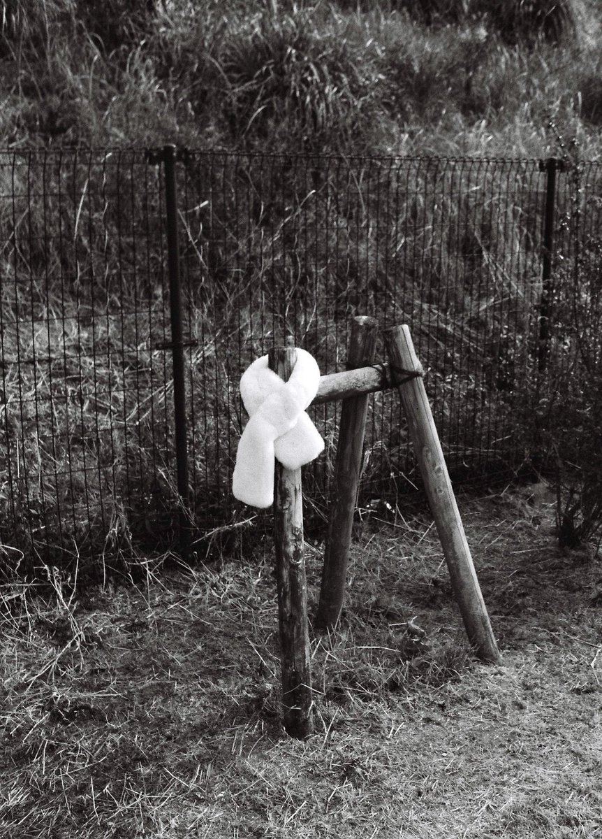 kanbai_banjo's tweet image. lost item

February 6, 2026
Rollei35 Tessar 3.5/40, KODAK TRI-X 400

#rollei35 #kodaktrix400 #trix400 #tessar #歩撮