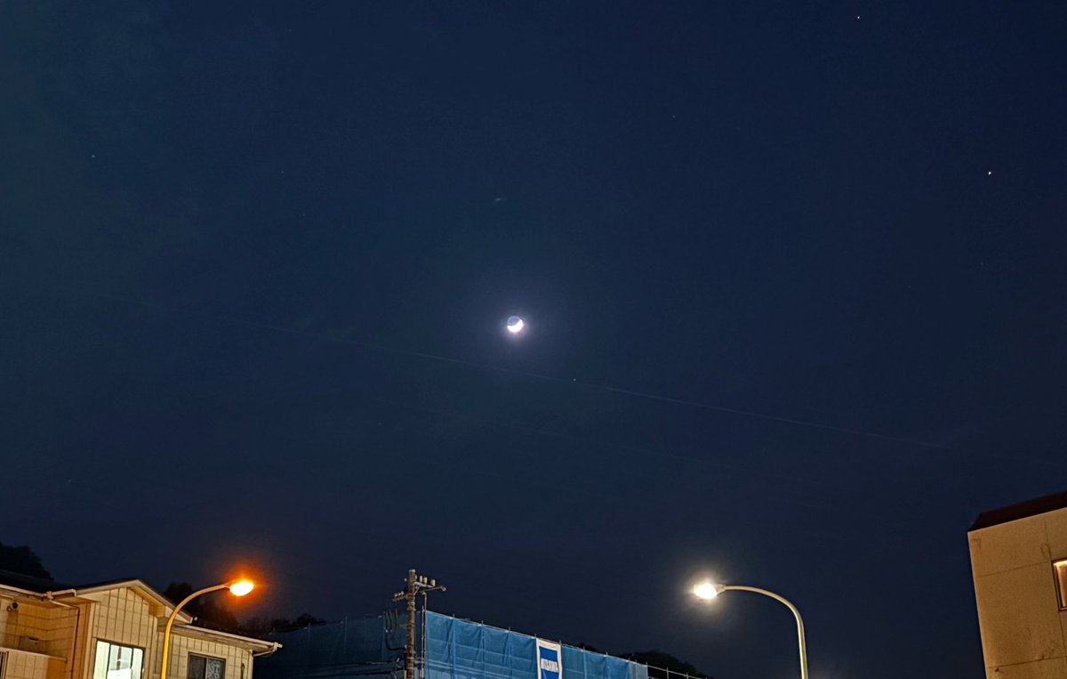 𝚛𝚞𝚖𝚒. tweet media