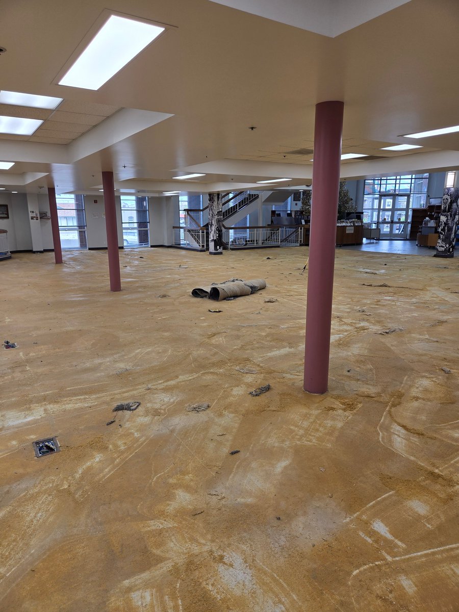 Progress! The Library is fully closed for the day, we'll have Curbside Hold Pickup and staff on the phones again tomorrow, from 10 am - 6 pm.

Place items on hold through our catalog and pick them up this week during our closure for recarpeting!