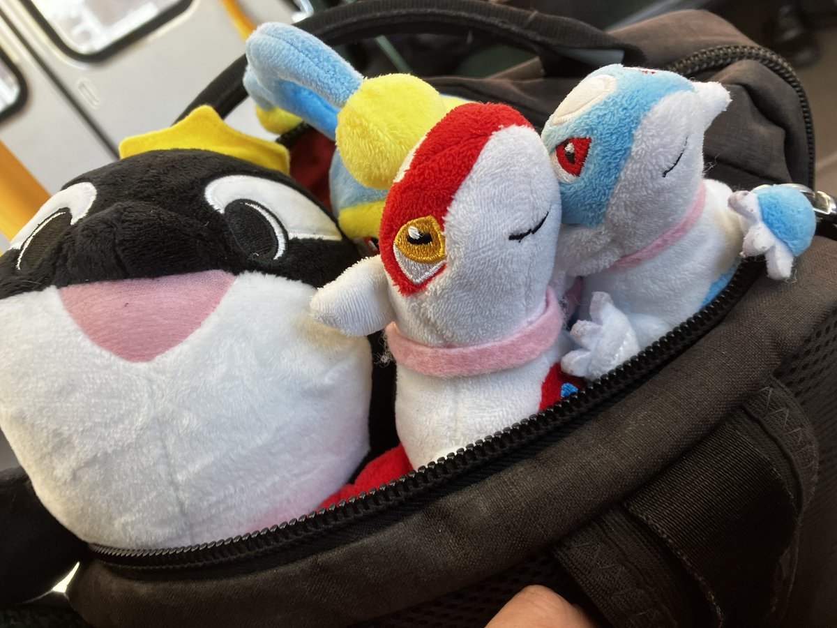 キャプテン・ラティハート垢 tweet media