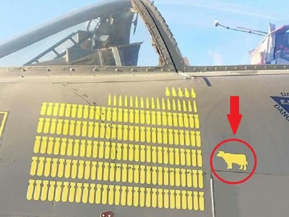 A-10 Thunderbolt II "Warthog" tweet media