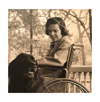 Rabbi Daniel Lapin tweet media