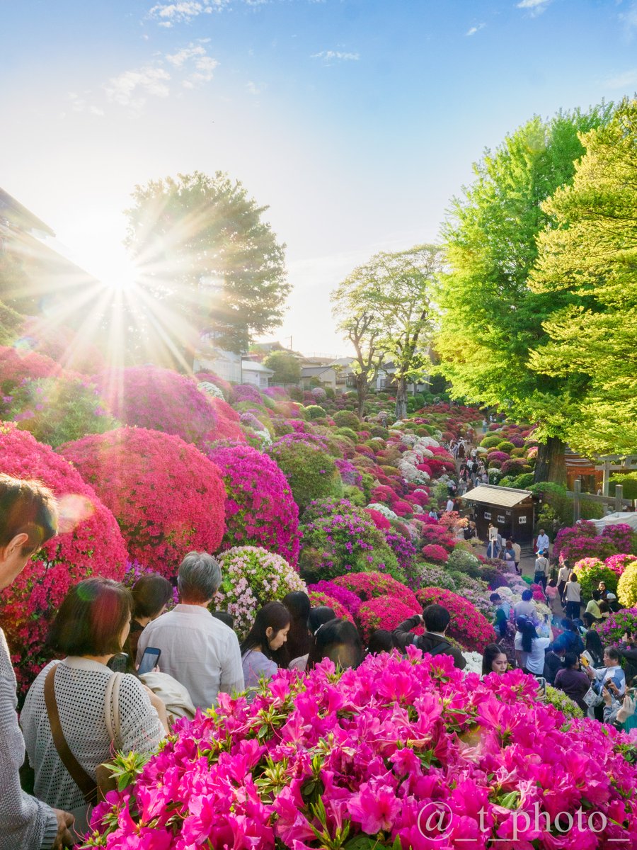 とーりん tweet media