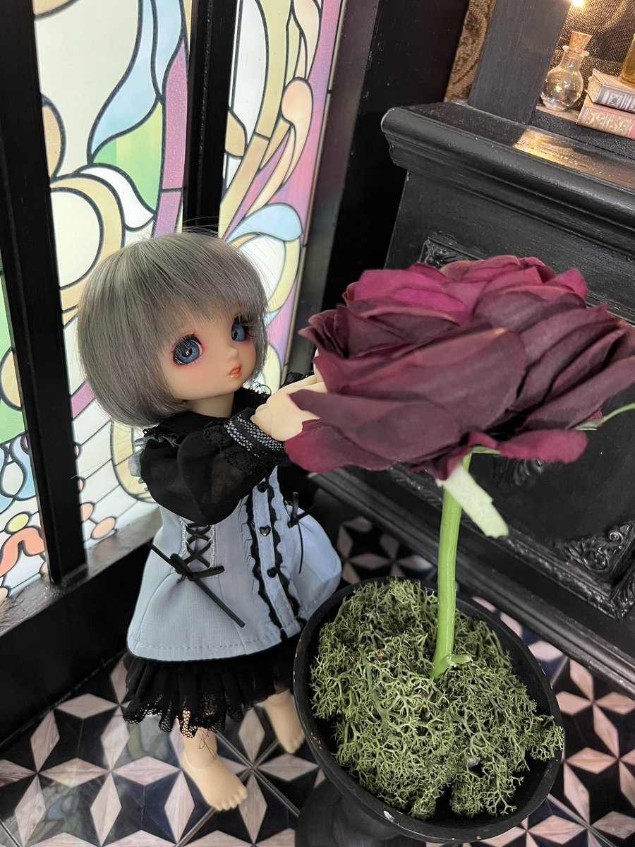 Trade_Nyarma's tweet photo. #트인덕장터 
개체수 조절로 인해 보크스 YOSD 노멀 유아 본체 운미포 40 판매합니다.
디폴박스 + 본체 + 디폴 가발 및 안구로 플레이트 잘 붙어있습니다.
구매 당시부터 디폴 의상이 없었던 점 참고 부탁드립니다.
+
스튜디오 촬영 이력 있습니다. https://t.co/IEymhHQBQN