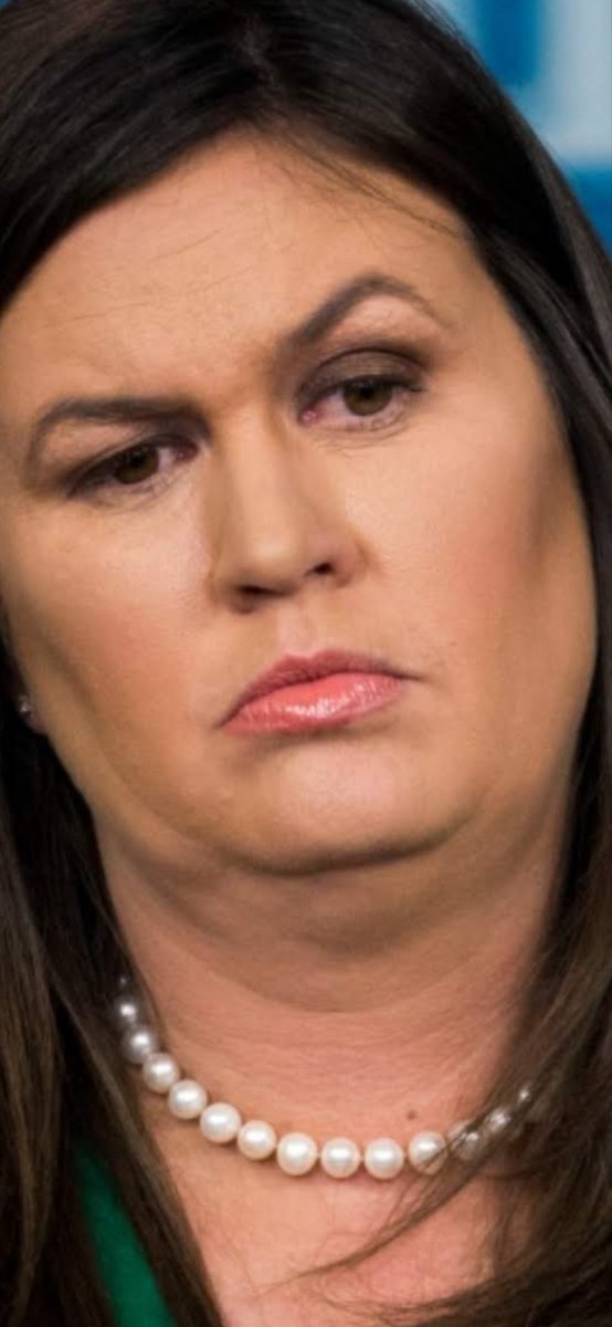 Dr Cat Astrophe PhD tweet media