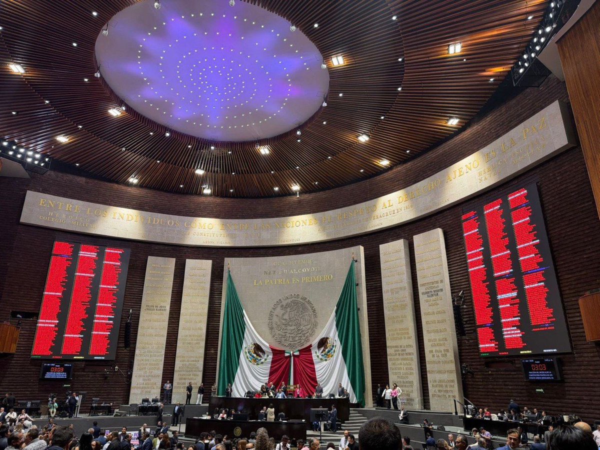 Citlalli Hernández Mora tweet media